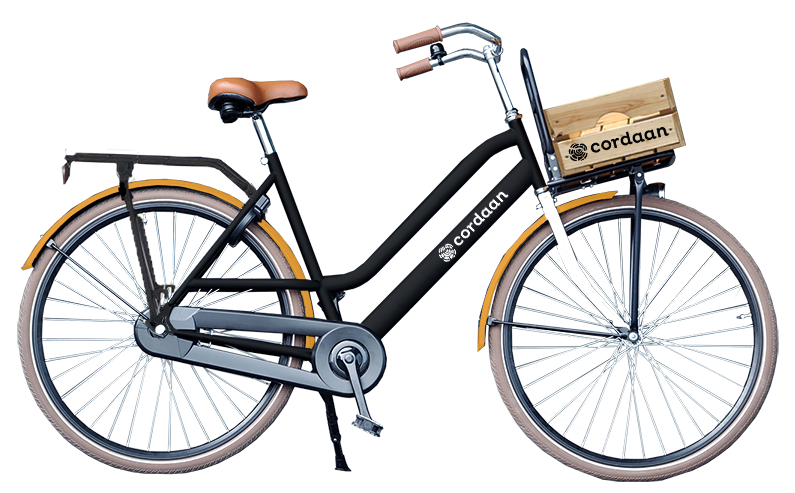 BrandBikes stadsfiets