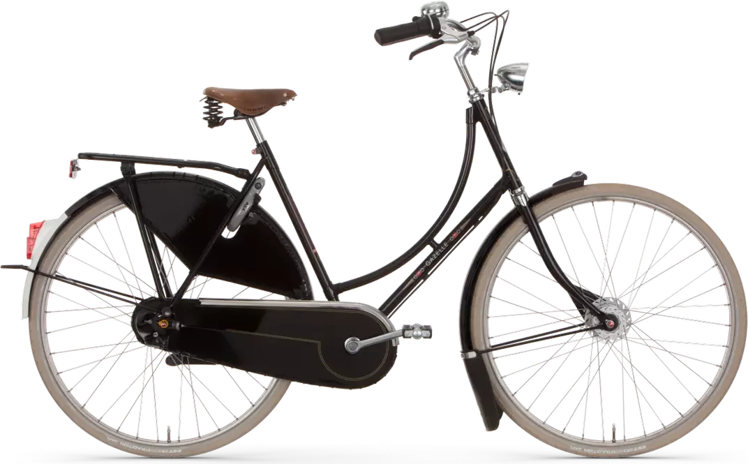 Gazelle Tour Populair T8